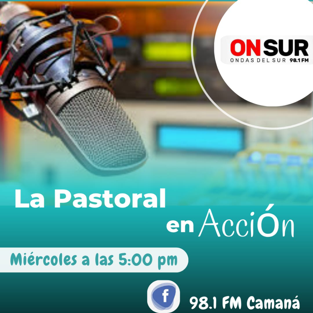 la pastoral en acción